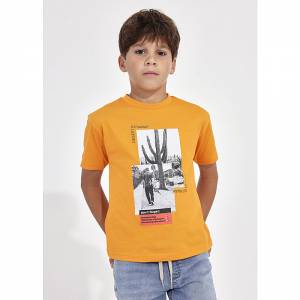 Μπλούζα κοντομάνικη για αγόρι με τύπωμα κάκτος της Mayoral