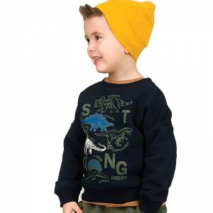 Μπλούζα φούτερ μακρυμάνικη για αγόρι με τύπωμα Dinos της Energiers