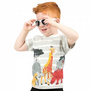 Μπλούζα κοντομάνικη για αγόρι με τύπωμα animals της Energiers