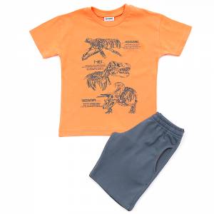 Σετ μπλούζα και βερμούδα για αγόρι με τύπωμα Dinos της Trax
